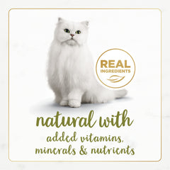 Fancy Feast Gourmet Naturals natural ingredients label—no artificial colors, flavors or preservatives.