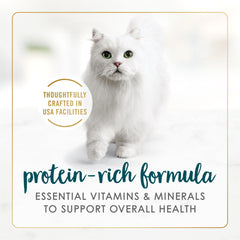 Fancy Feast Grain-Free Wet Cat Food Pate with real salmon and shrimp, high-protein option.
