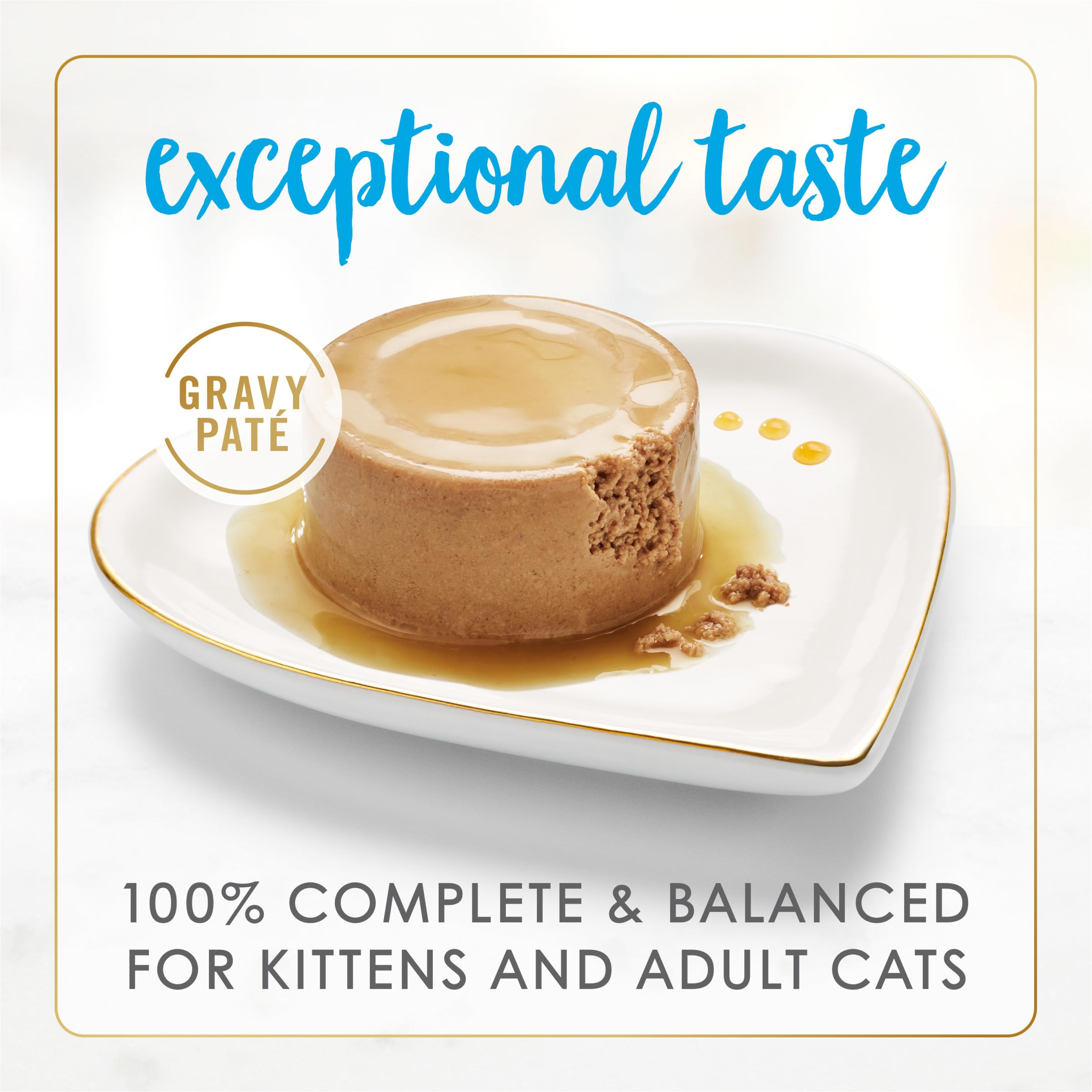 Fancy Feast Gravy Lovers Ocean Whitefish and Tuna Pate close-up of smooth texture for palatable adult cat meals.