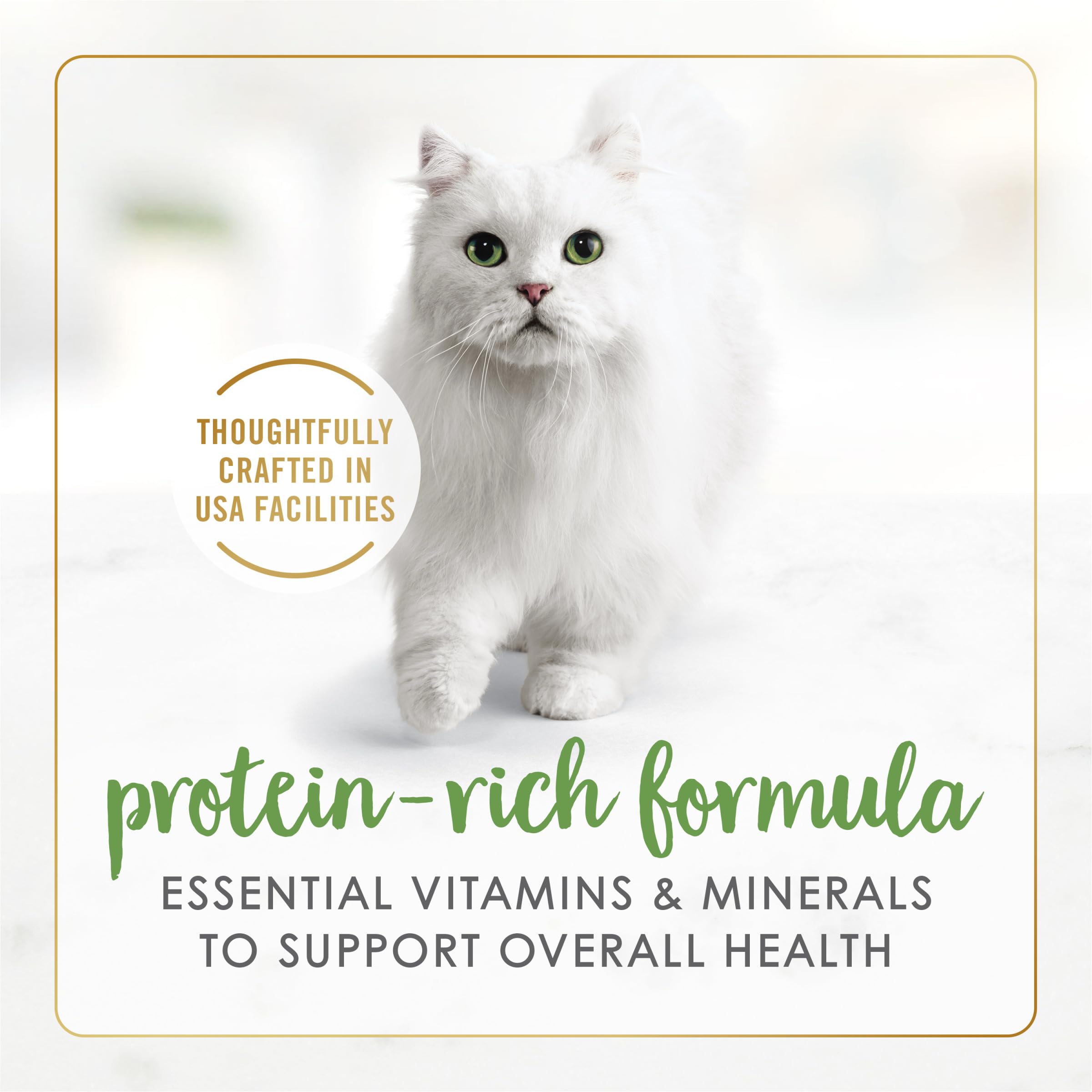 Fancy Feast Gravy Lovers Real Salmon chunks emphasize protein-rich texture for kittens and adults.