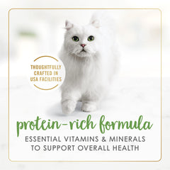 Fancy Feast Gravy Lovers Real Salmon chunks emphasize protein-rich texture for kittens and adults.