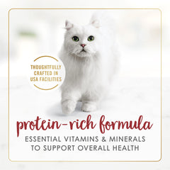 Fancy Feast Gravy Lovers Roasted Beef slices highlight premium protein and aroma