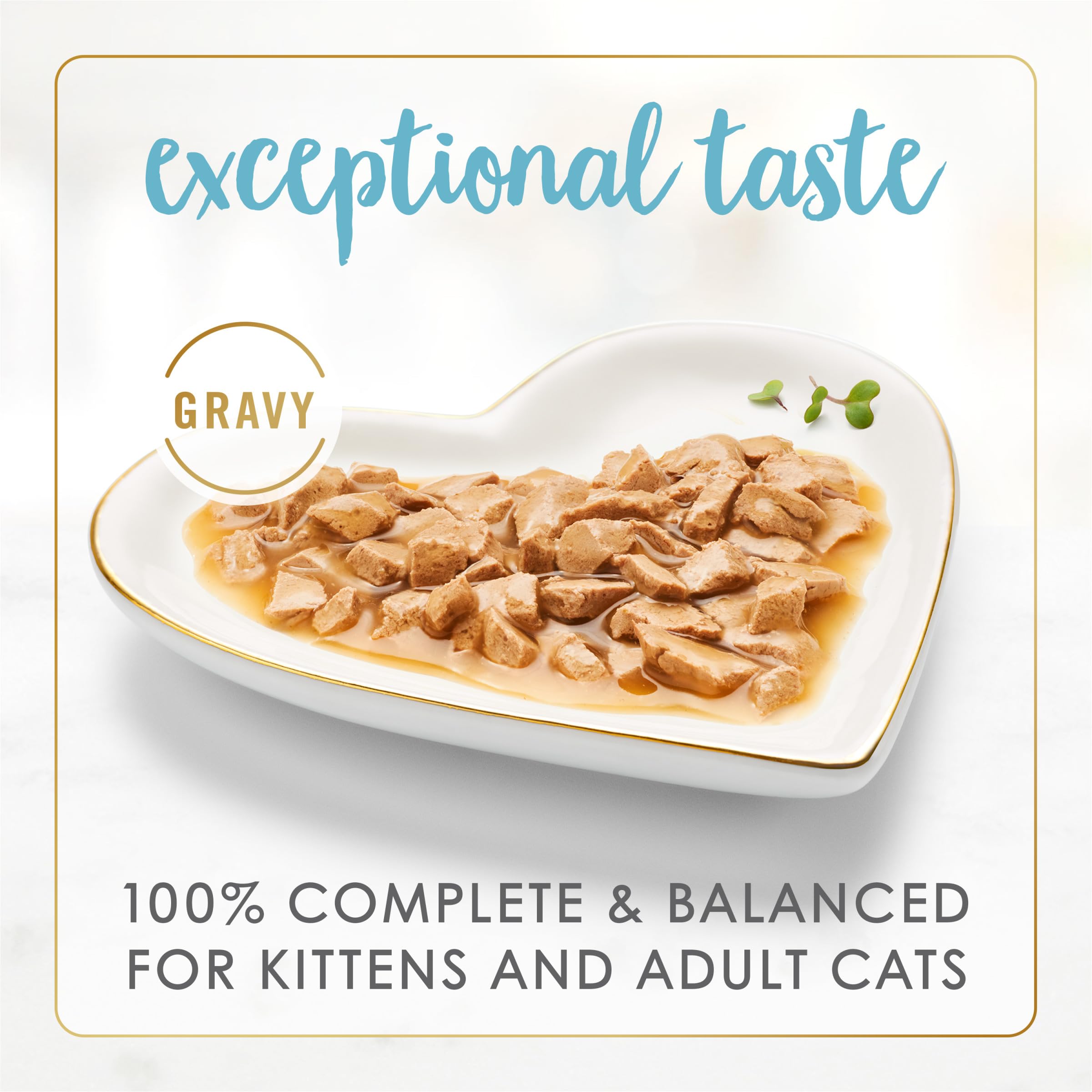 Fancy Feast Gravy Lovers Seared Salmon Gravy illustrates rich aroma and savory texture.