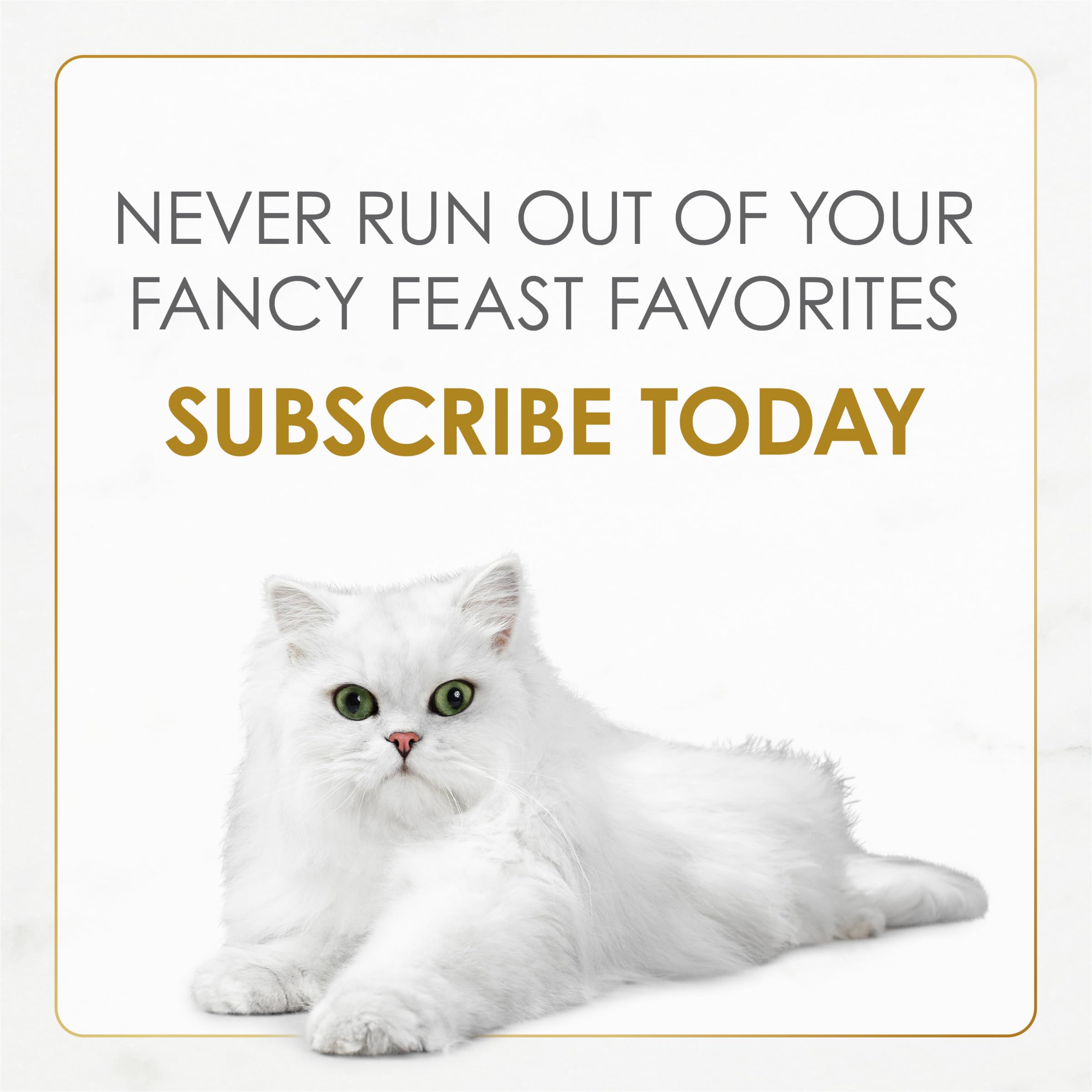 Fancy Feast serve-ready dish prompting mealtime satisfaction with slow-roasted flavor