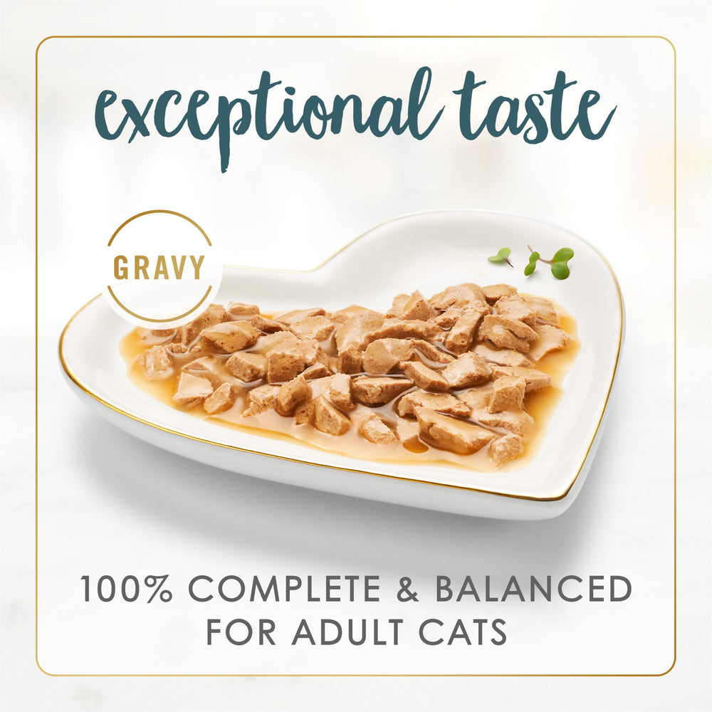 Fancy Feast Gravy Lovers turkey-feast canned food close-up shows gravy-rich texture for appetites