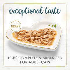 Fancy Feast Gravy Lovers turkey-feast canned food close-up shows gravy-rich texture for appetites