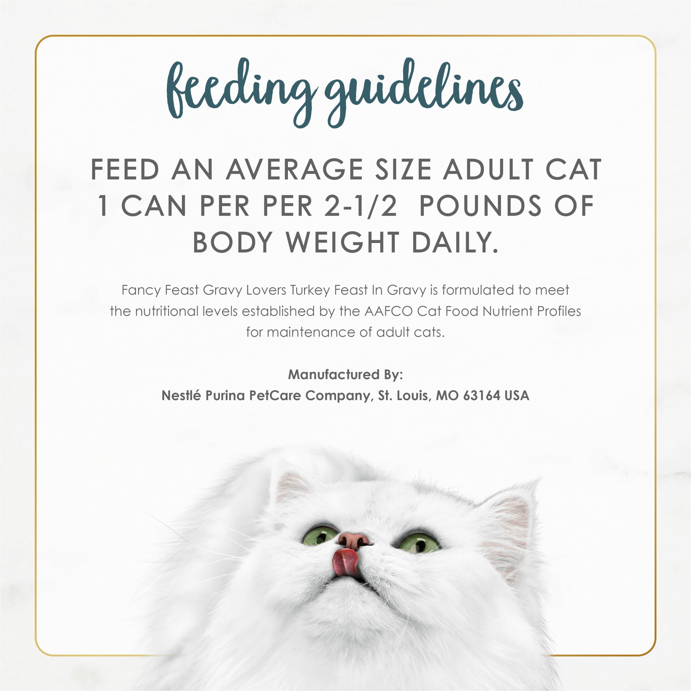 Fancy Feast Gravy Lovers scene shows a content cat ready to eat