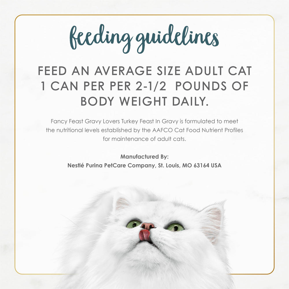 Fancy Feast Gravy Lovers scene shows a content cat ready to eat