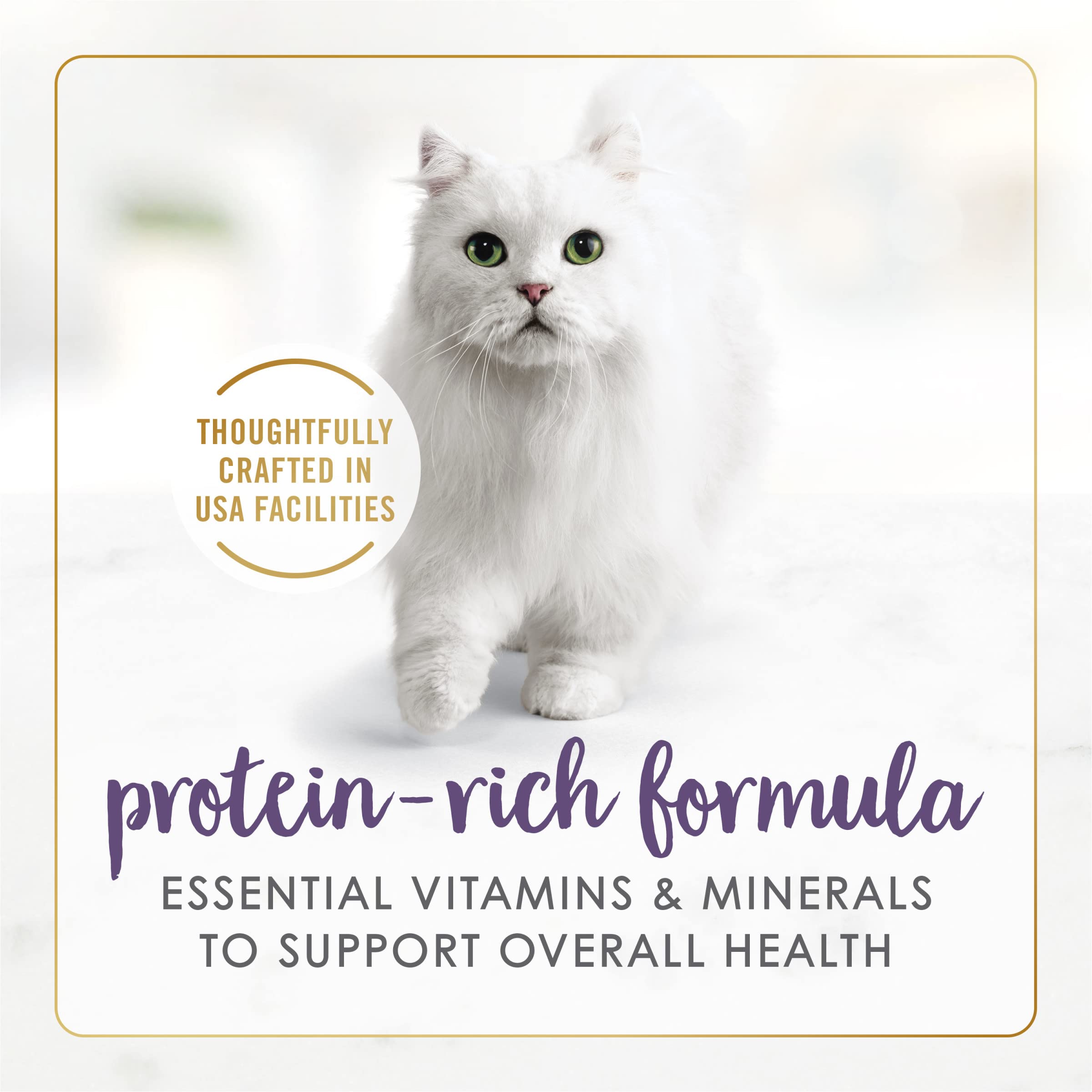 Fancy Feast Grilled Beef Feast meal serving shows easy-to-dish presentation for cats.