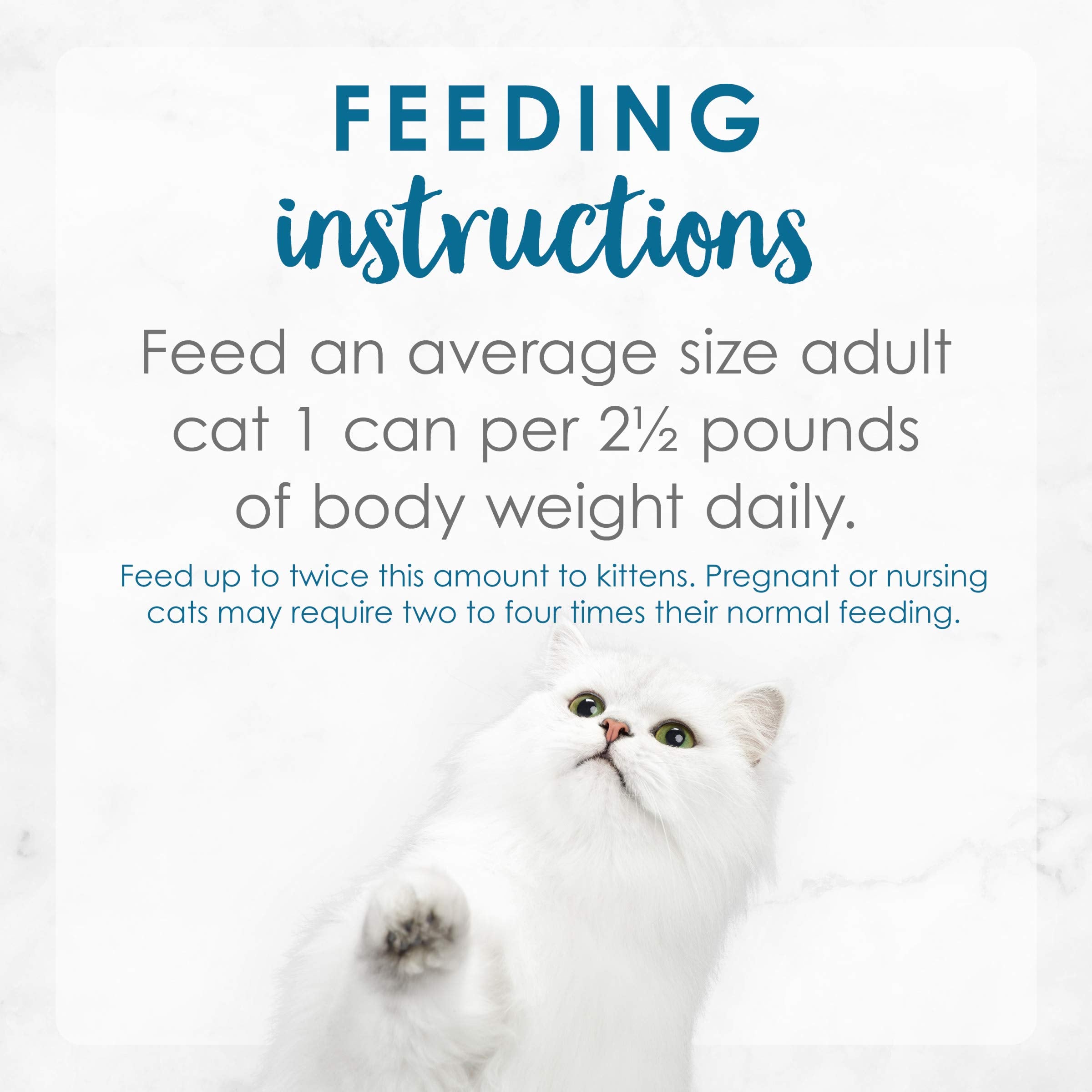 Ready-to-serve Fancy Feast bowl for quick cat meals.