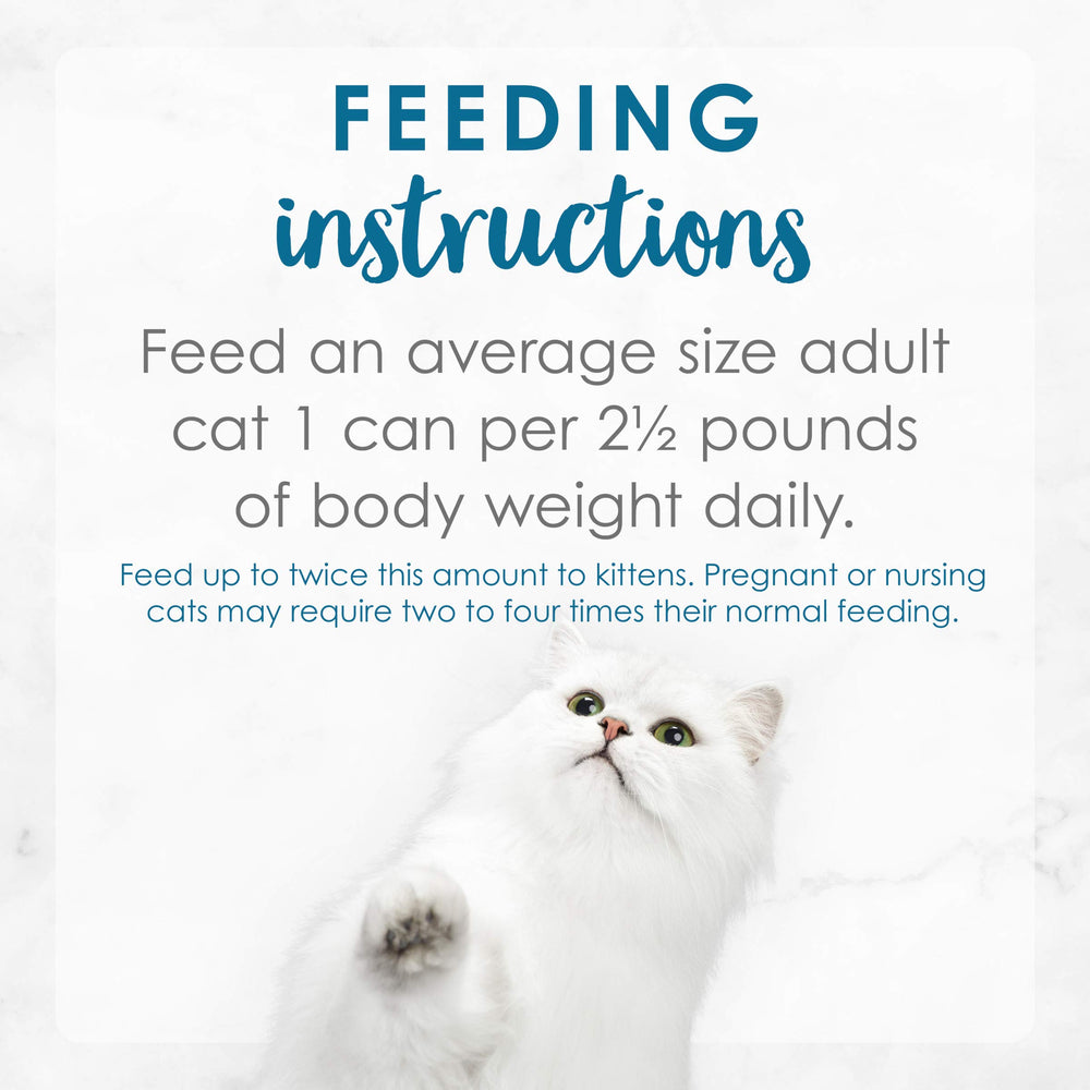 Ready-to-serve Fancy Feast bowl for quick cat meals.
