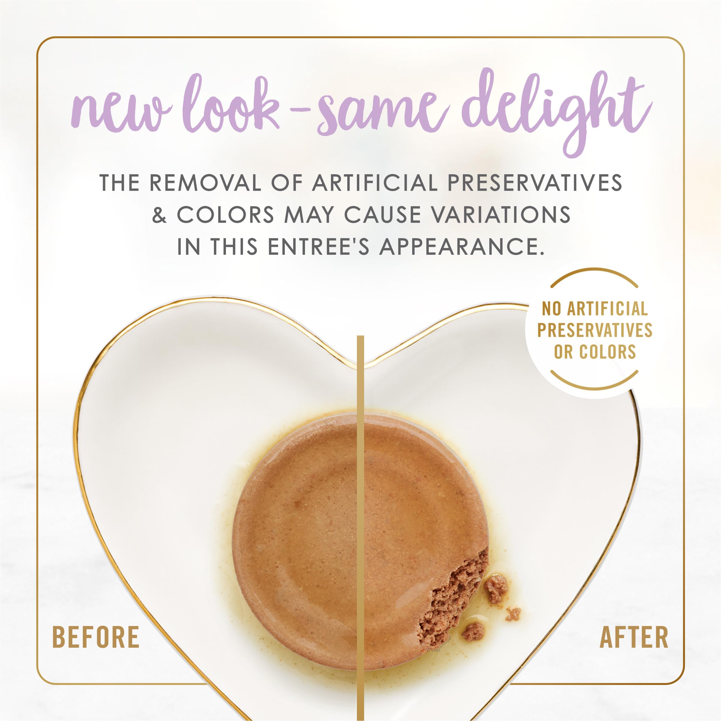 Fancy Feast kitten Tender Chicken Feast pate served in a bowl, showcasing easy-to-enjoy texture.