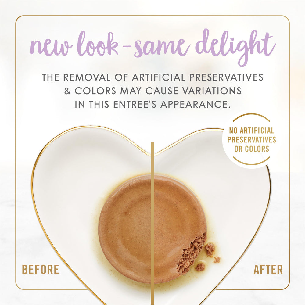 Fancy Feast kitten Tender Chicken Feast pate served in a bowl, showcasing easy-to-enjoy texture.