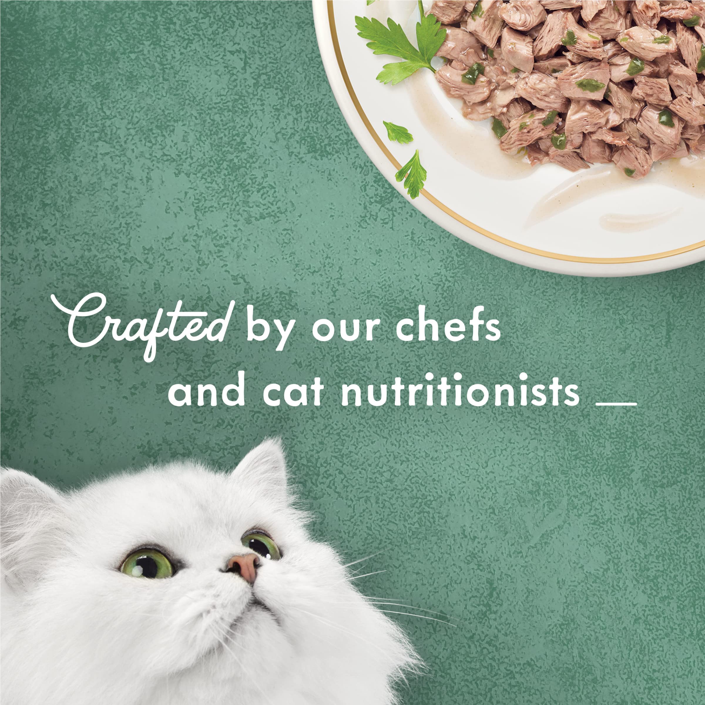 Fancy Feast Medleys pull-tab can demonstrates convenient easy-open packaging for busy cat parents.