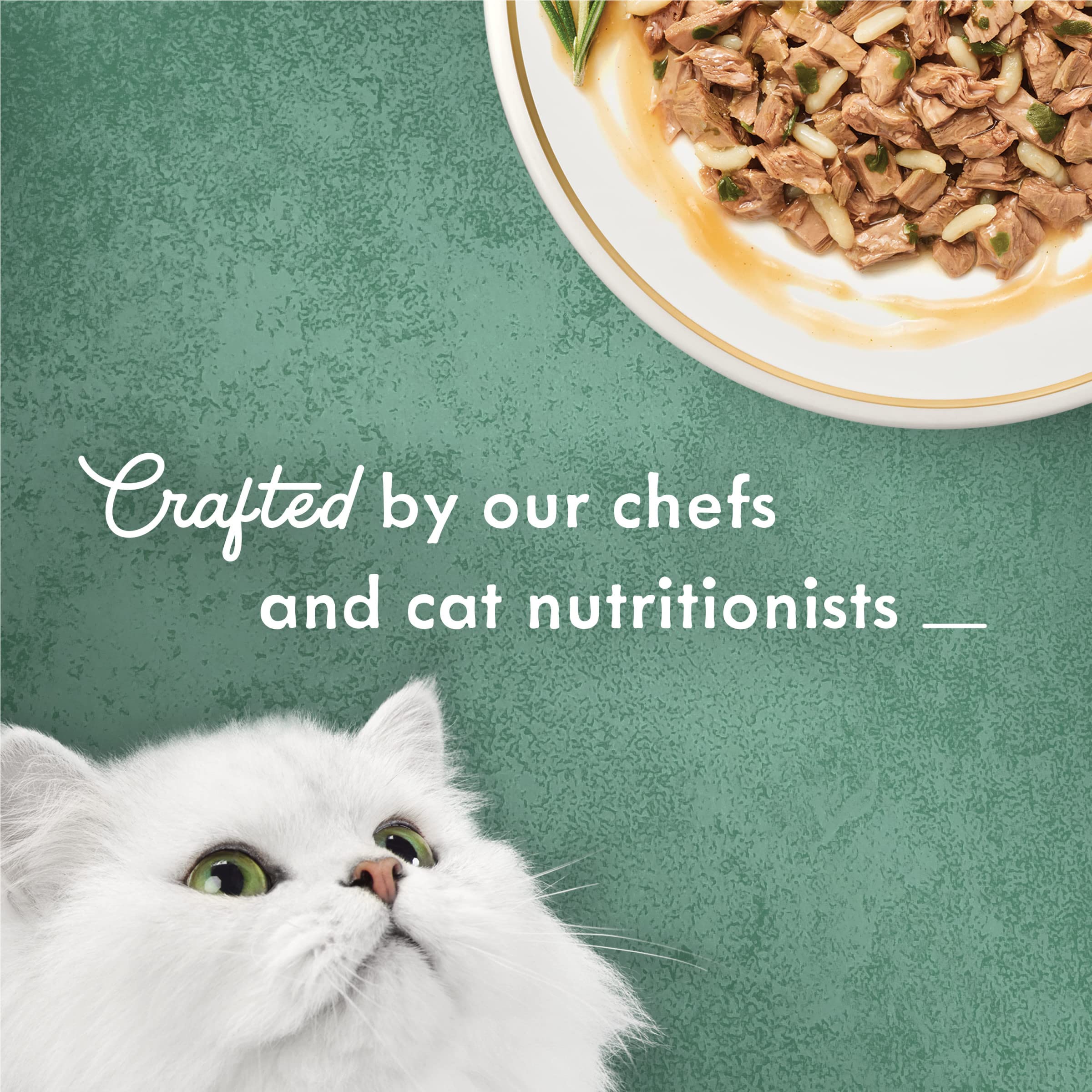 Fancy Feast Medleys Tuna Tuscany served in bowl conveys ready-to-serve gourmet meal