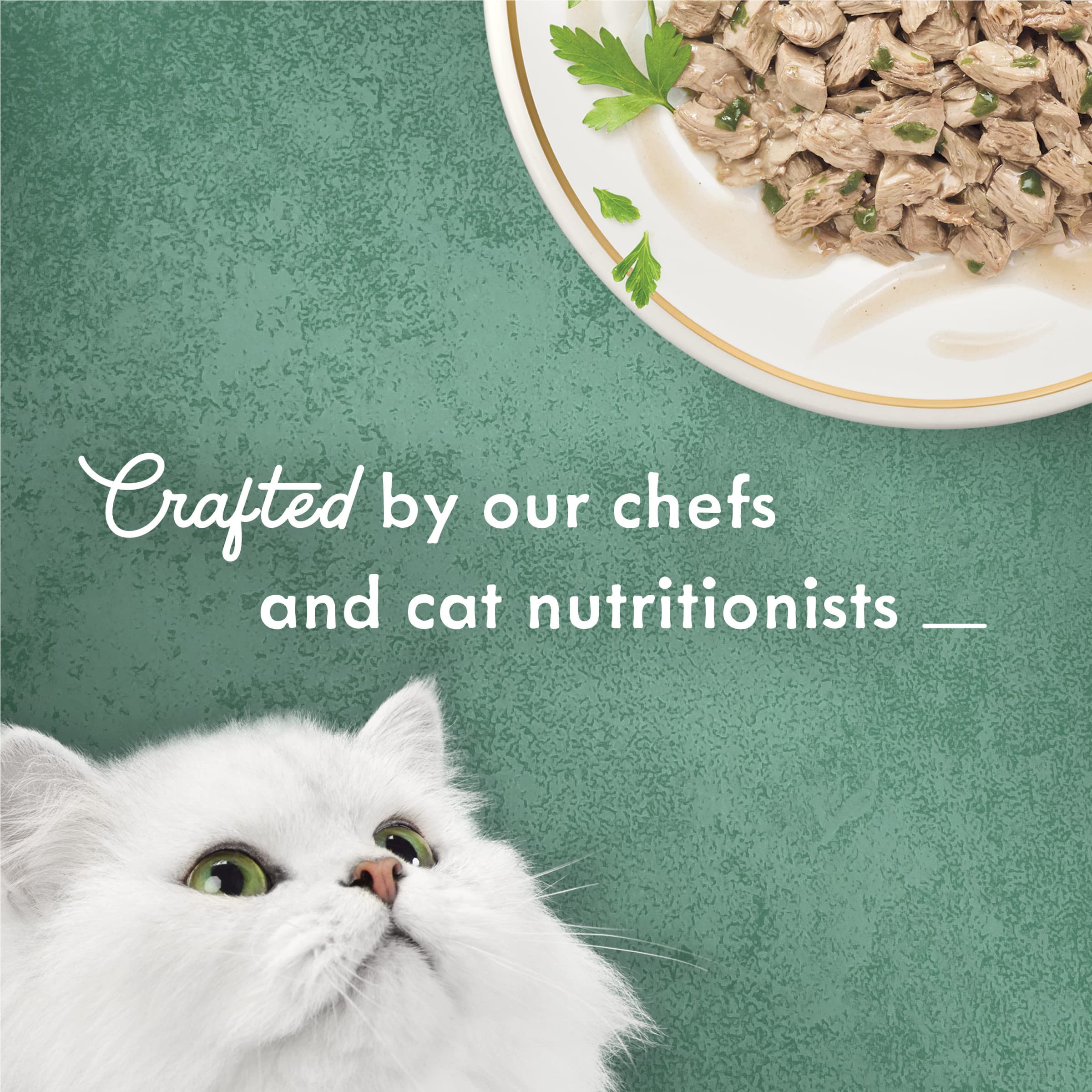 Fancy Feast Medleys Turkey Florentine closeup highlighting light broth.