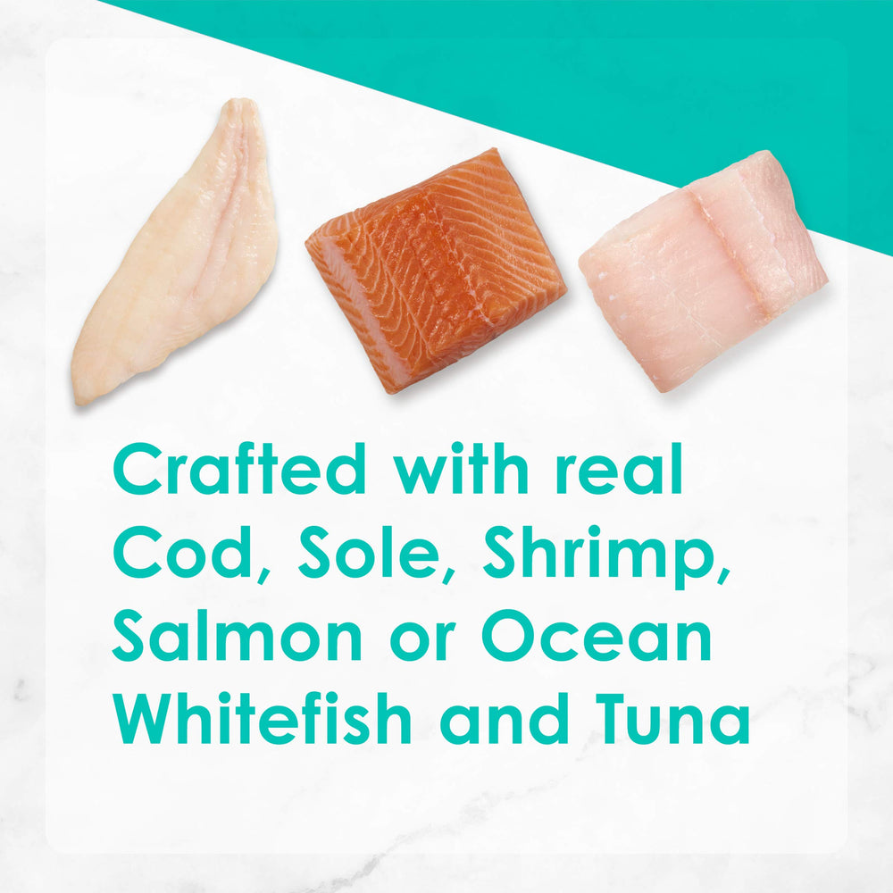 Fancy Feast Ocean Whitefish Tuna features protein-rich option in a crisp can.