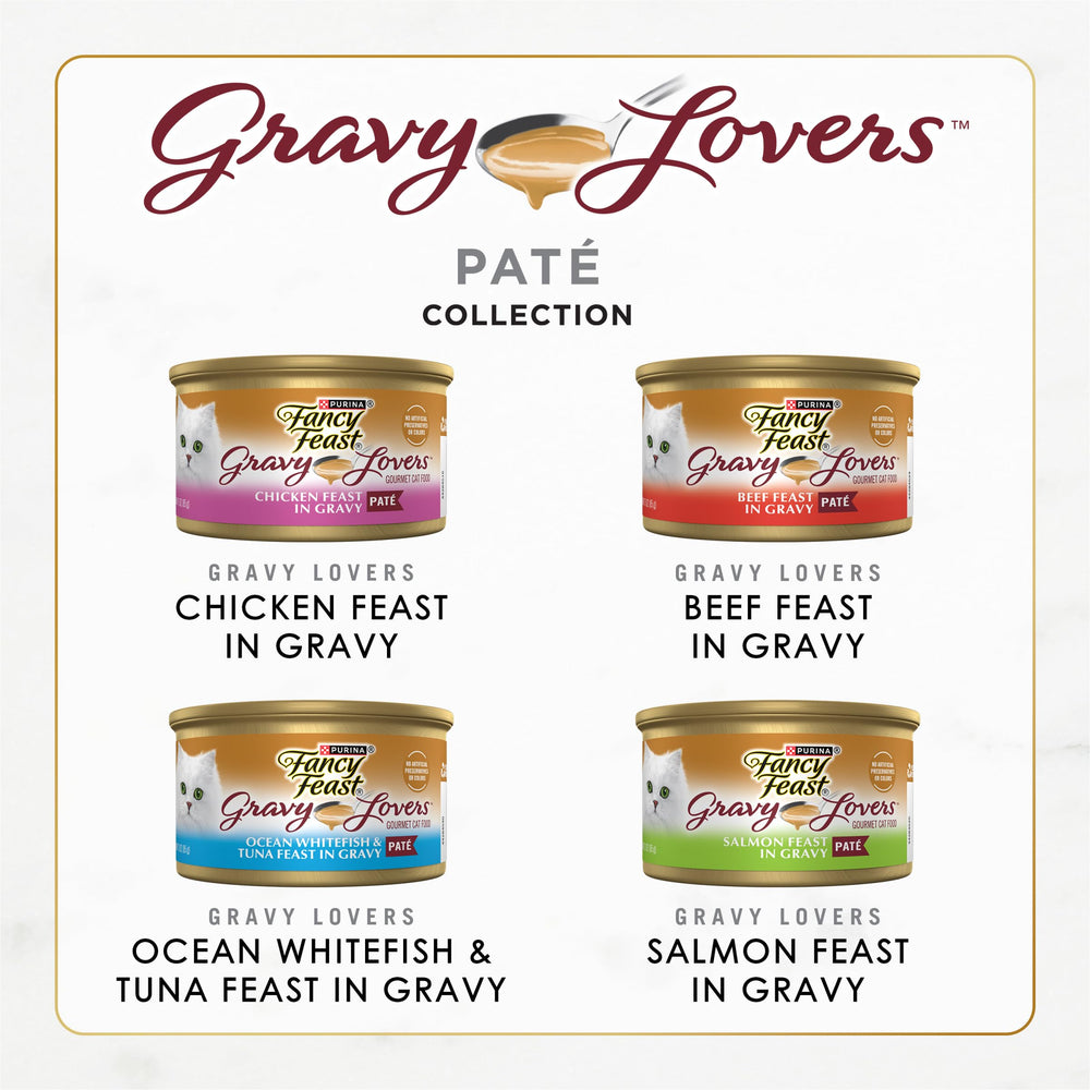 Fancy Feast Gravy Lovers beef pate close-up highlighting savory gravy.