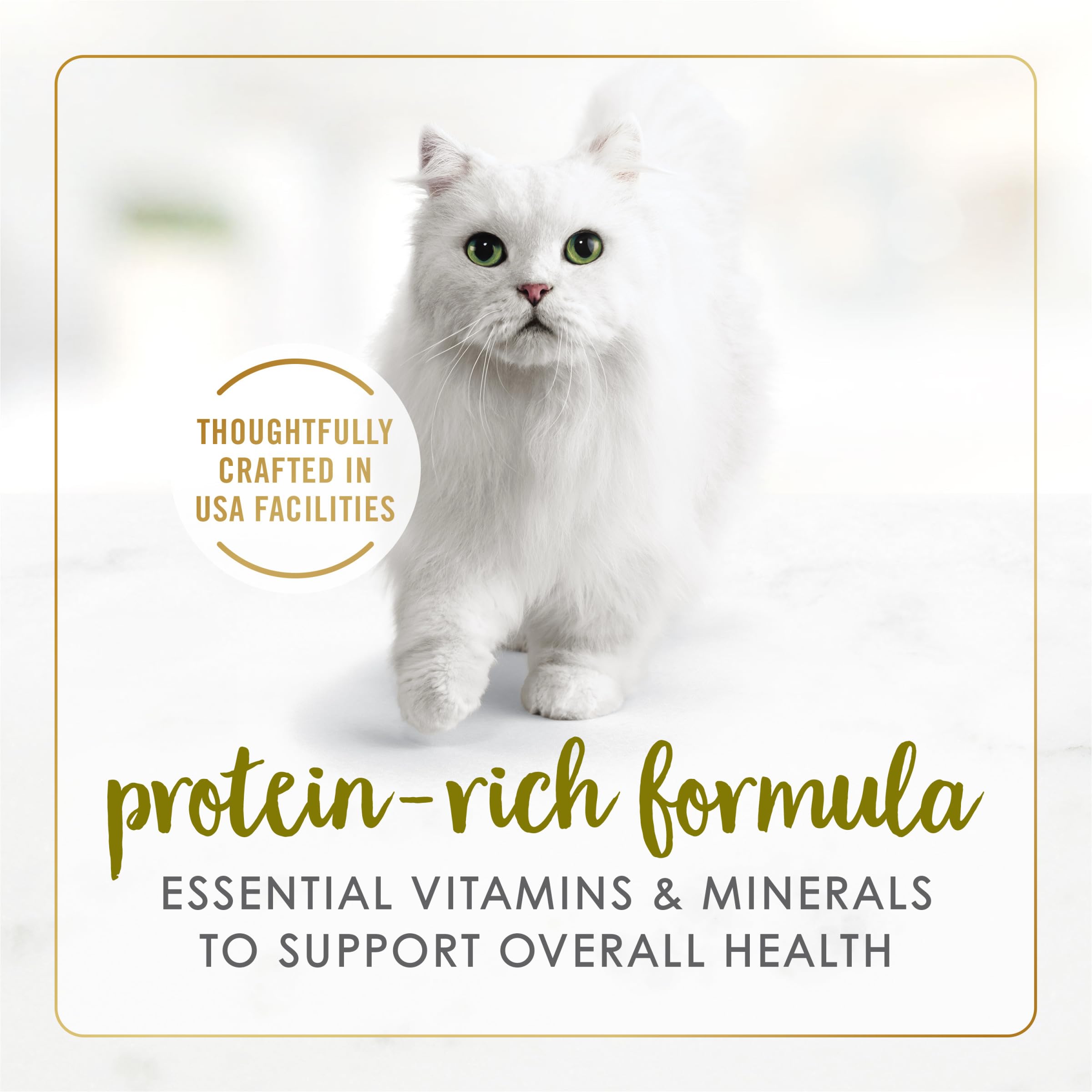 Fancy Feast Pate Turkey and Giblets pate closeup highlights smooth texture cats savor.