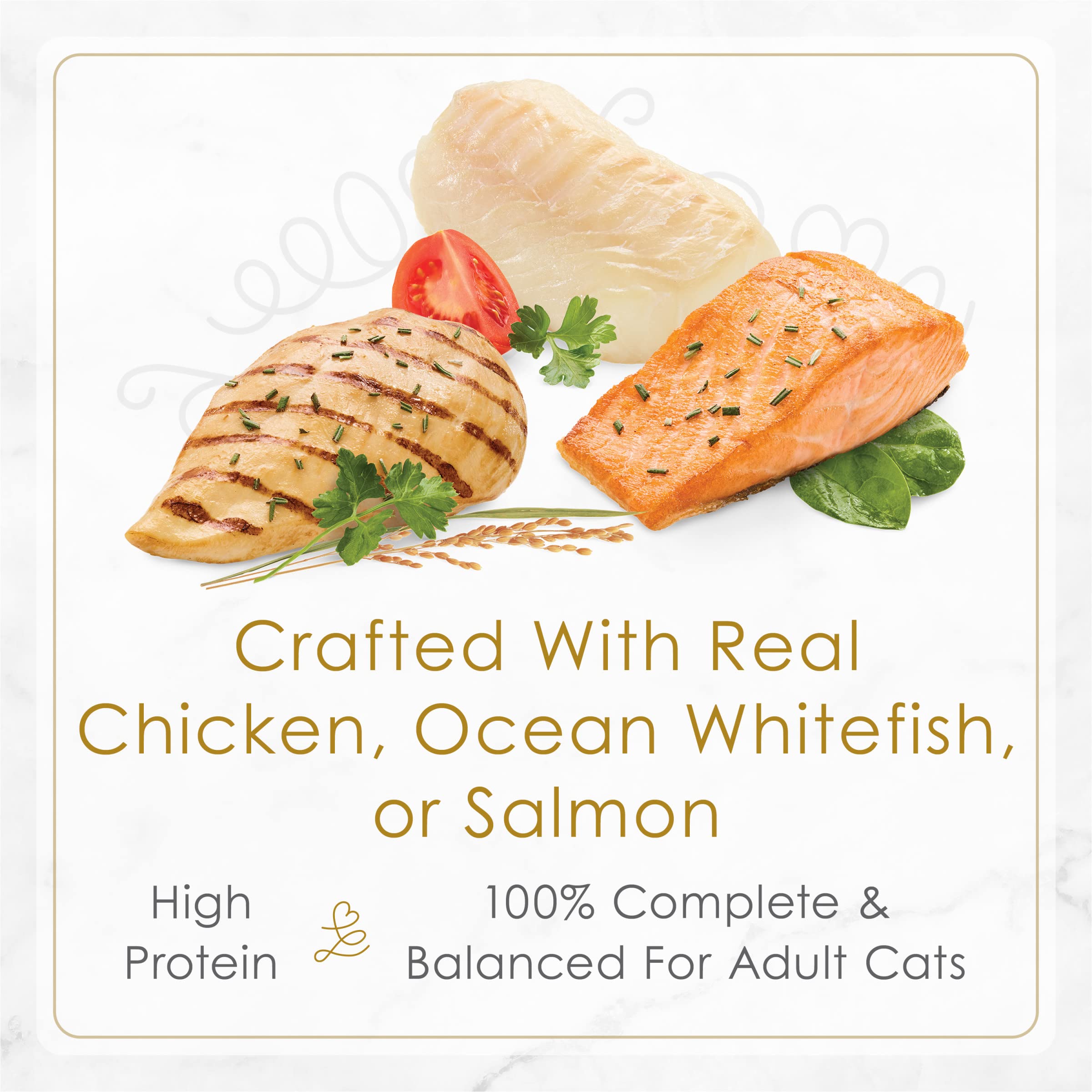 Fancy Feast Petites soft cat food tub close-up showcases convenient single-serve design.