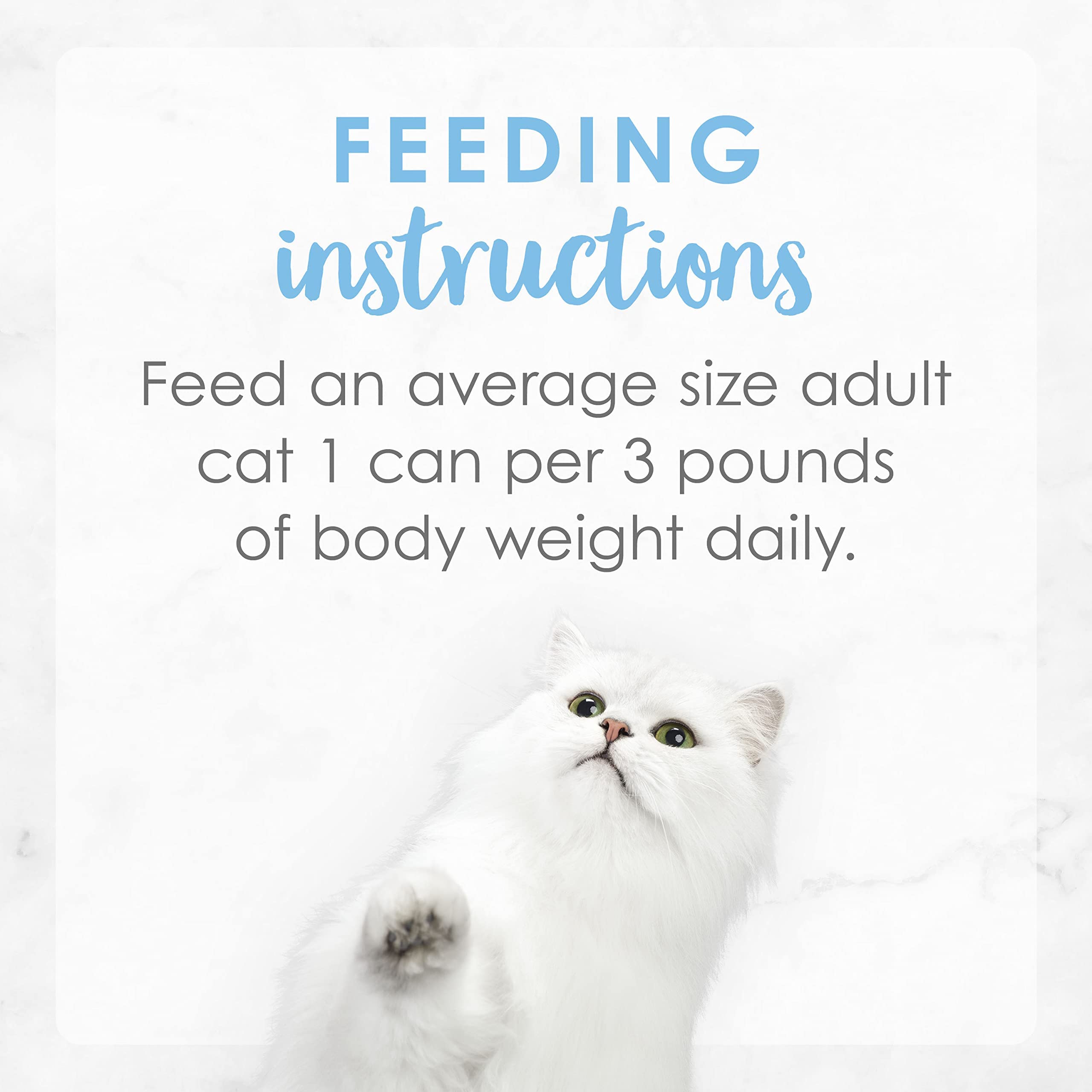 Fancy Feast Purina health-icons illustrating essential vitamins and minerals for wellness