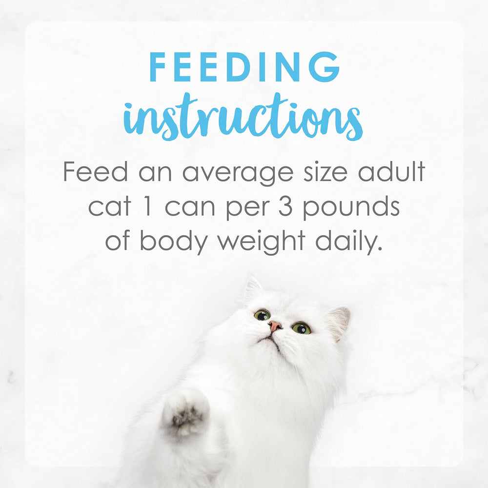 Fancy Feast Purina health-icons illustrating essential vitamins and minerals for wellness