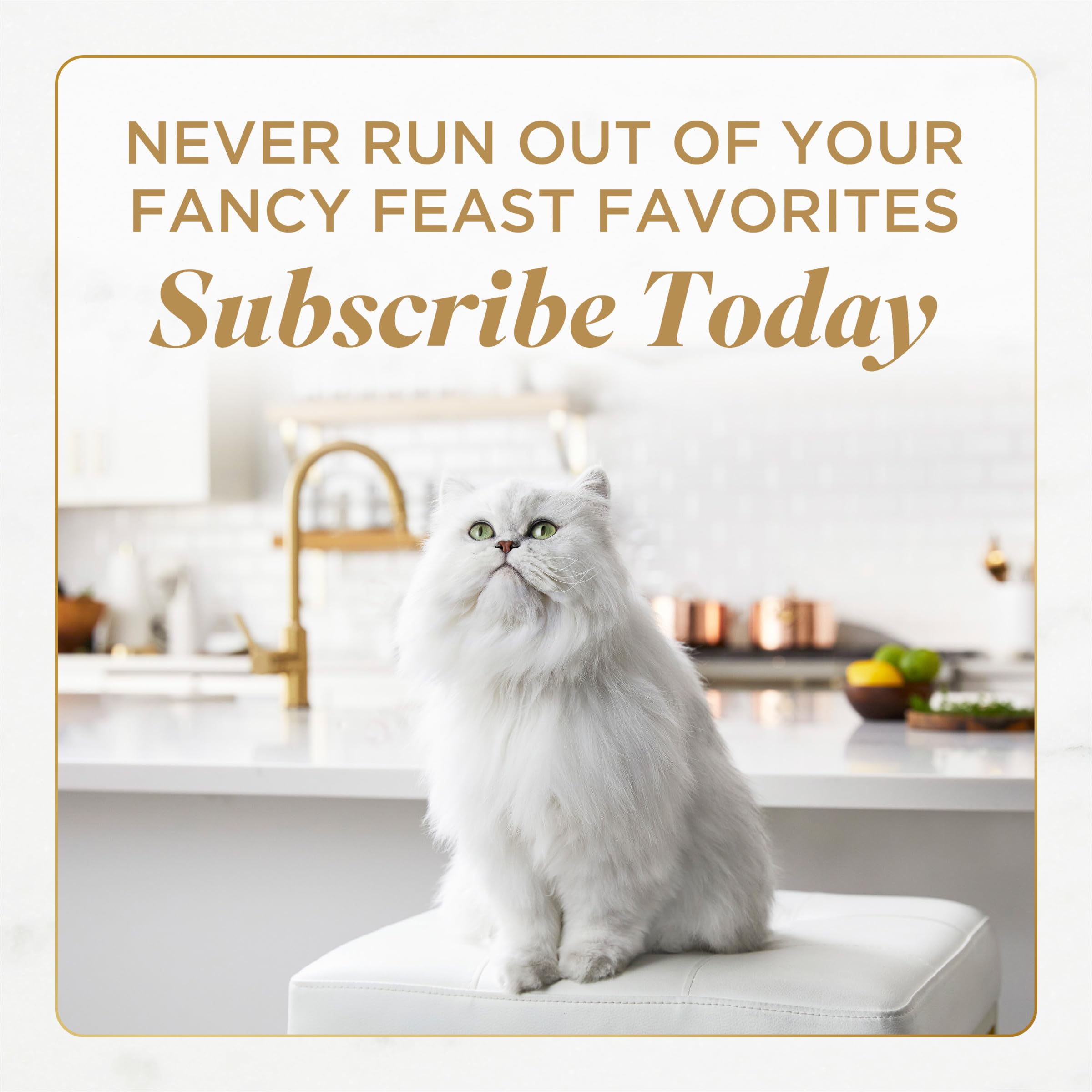 Fancy Feast real ingredients meat and fish for adult cats