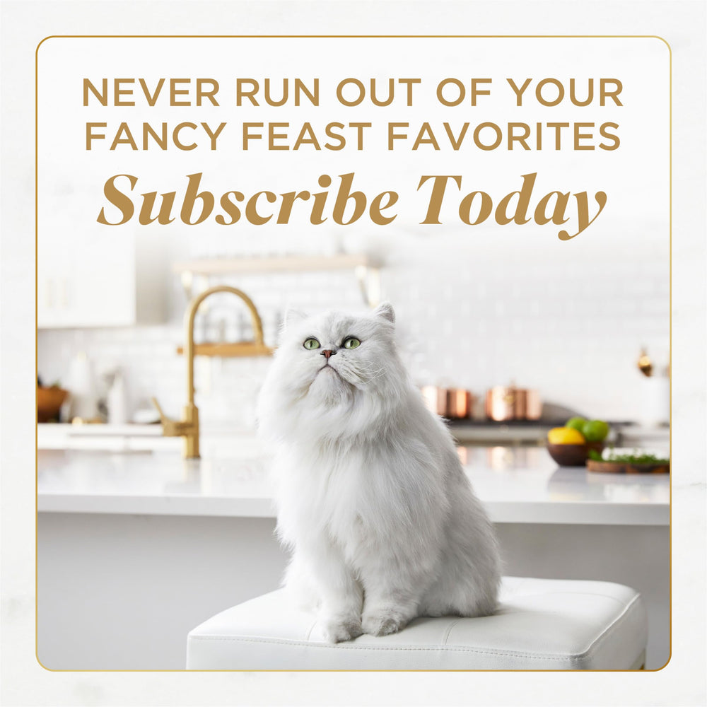 Fancy Feast real ingredients meat and fish for adult cats