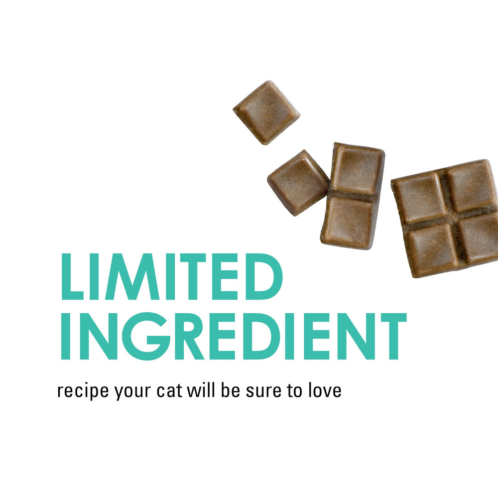 Fancy Feast Variety Flavors Tuna concept reinforces choice and playfully diverse snacking.