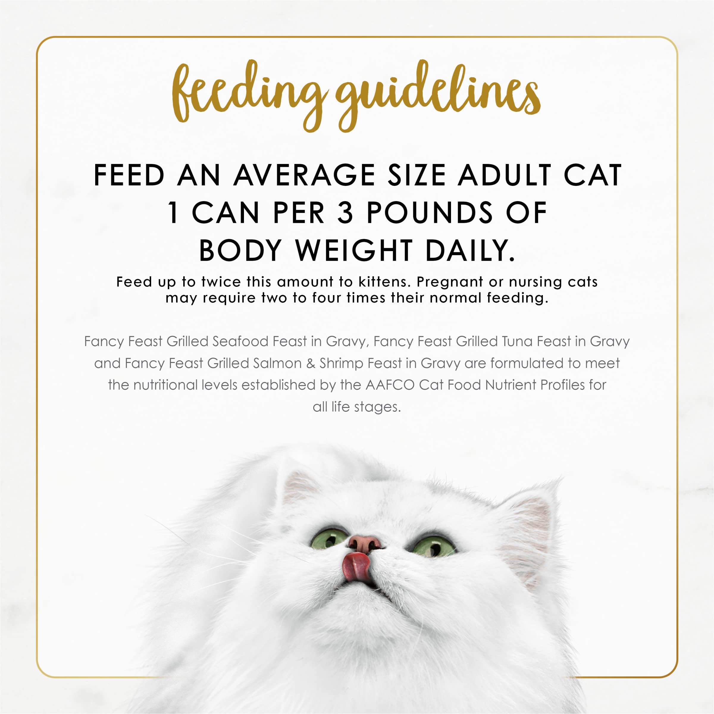 Fancy Feast serving dish with tuna – tempting presentation for mealtime variety