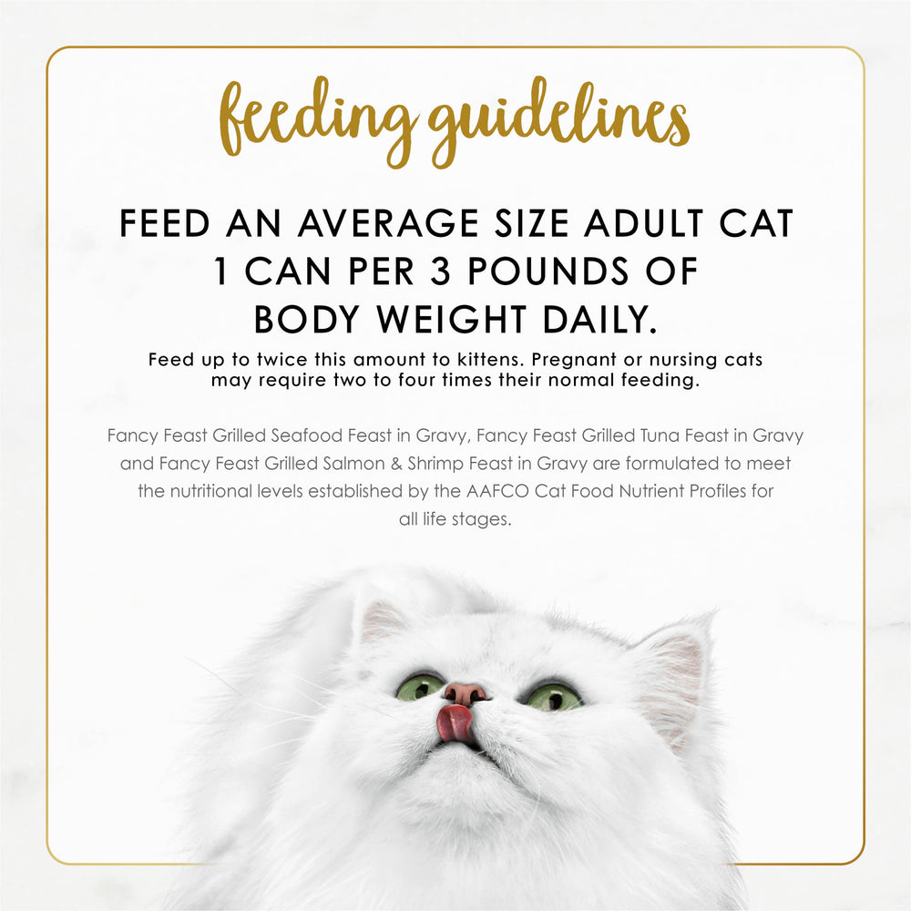 Fancy Feast serving dish with tuna – tempting presentation for mealtime variety
