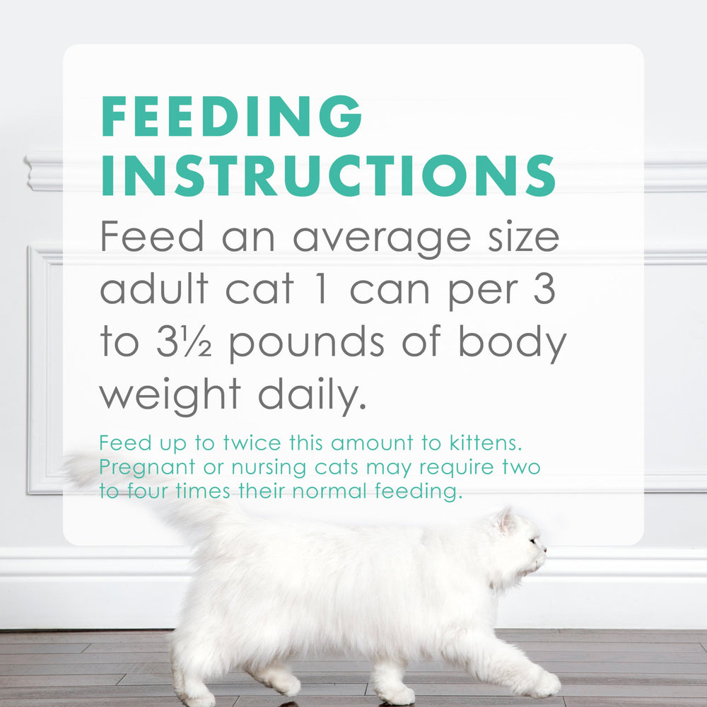 Fancy Feast Serving Dish time scene suggests easy mealtime routine.