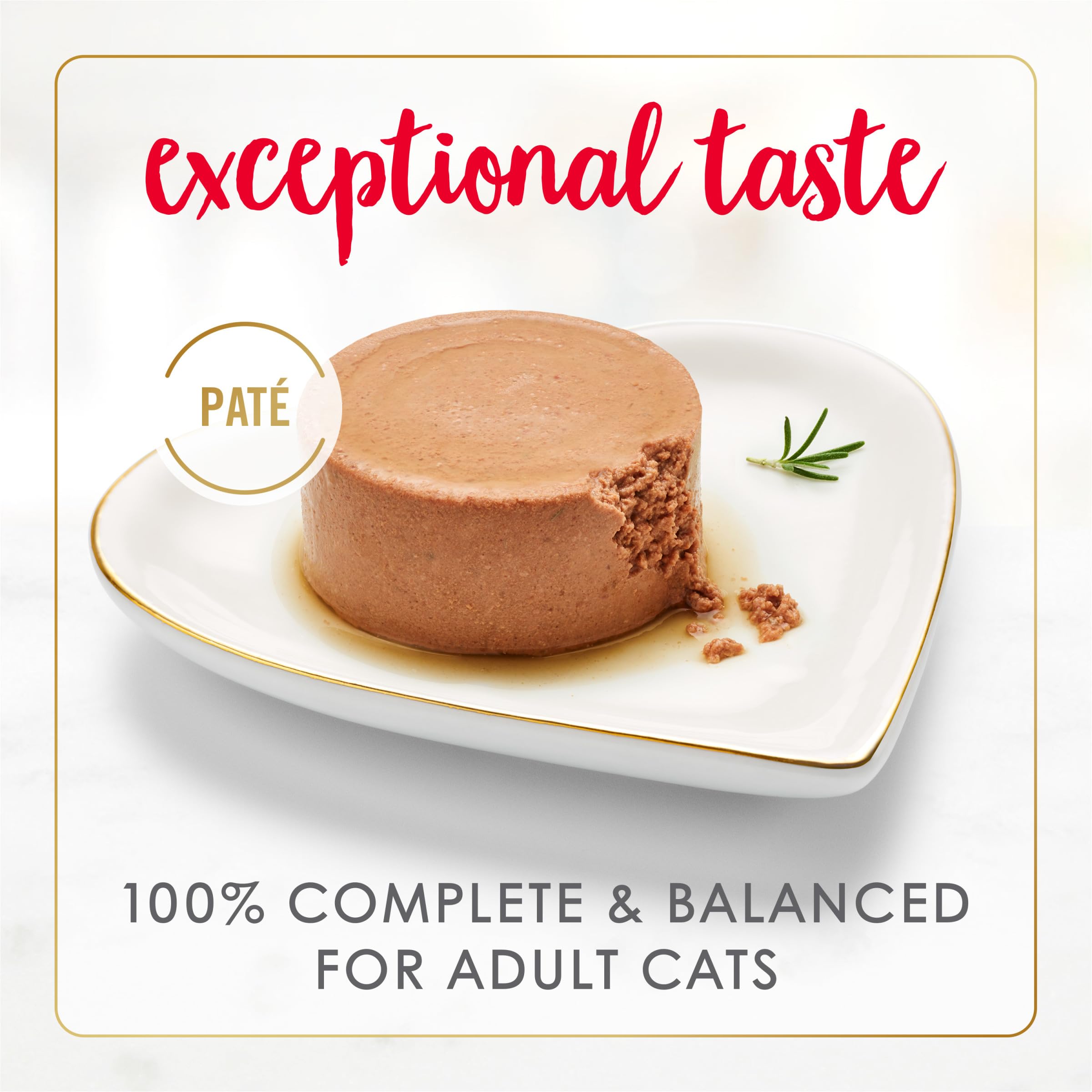 Fancy Feast tender-beef-chicken-pate close-up highlighting creamy texture and gourmet appeal.