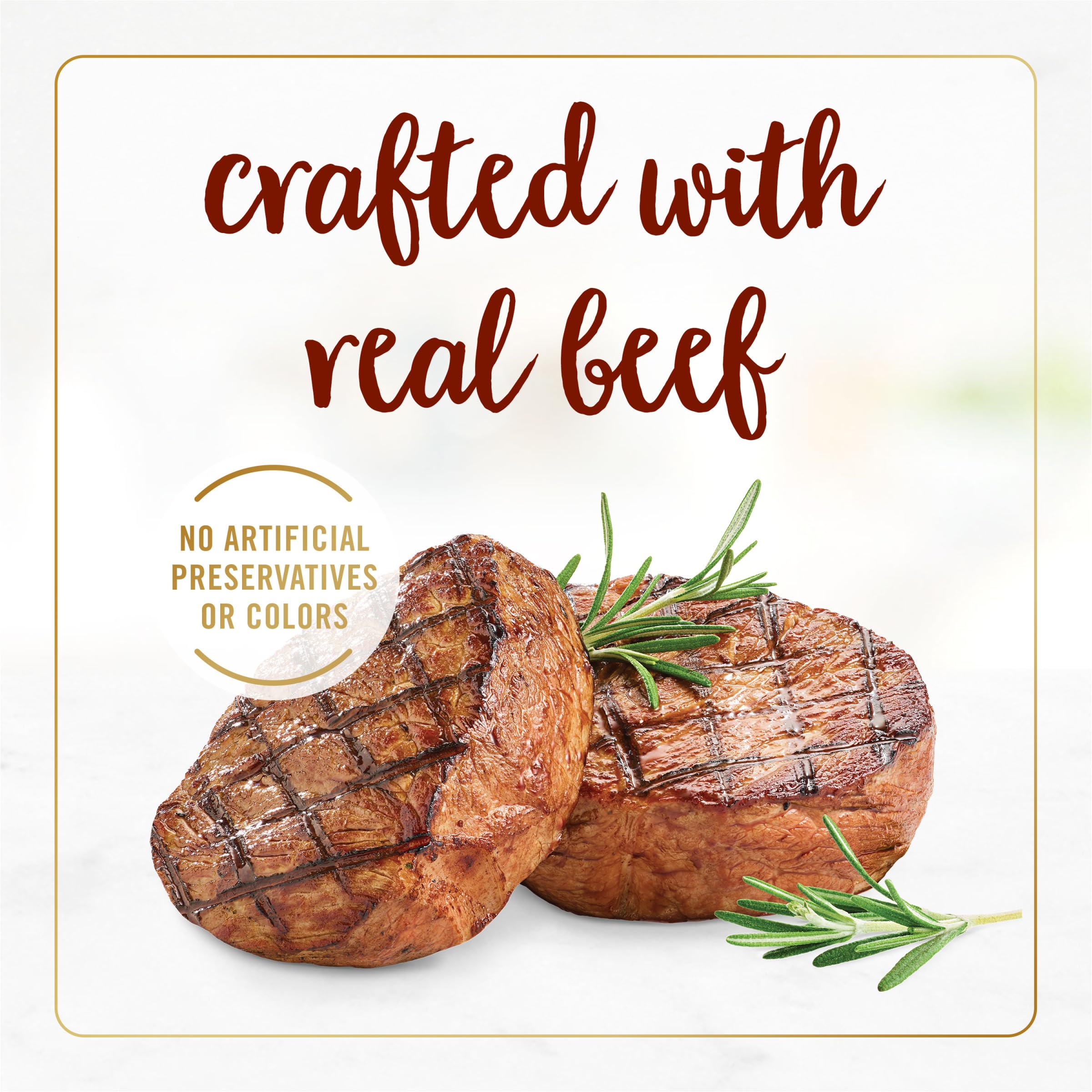 Fancy Feast Tender Beef Feast savory gravy close-up emphasizes appetizing moisture and flavor