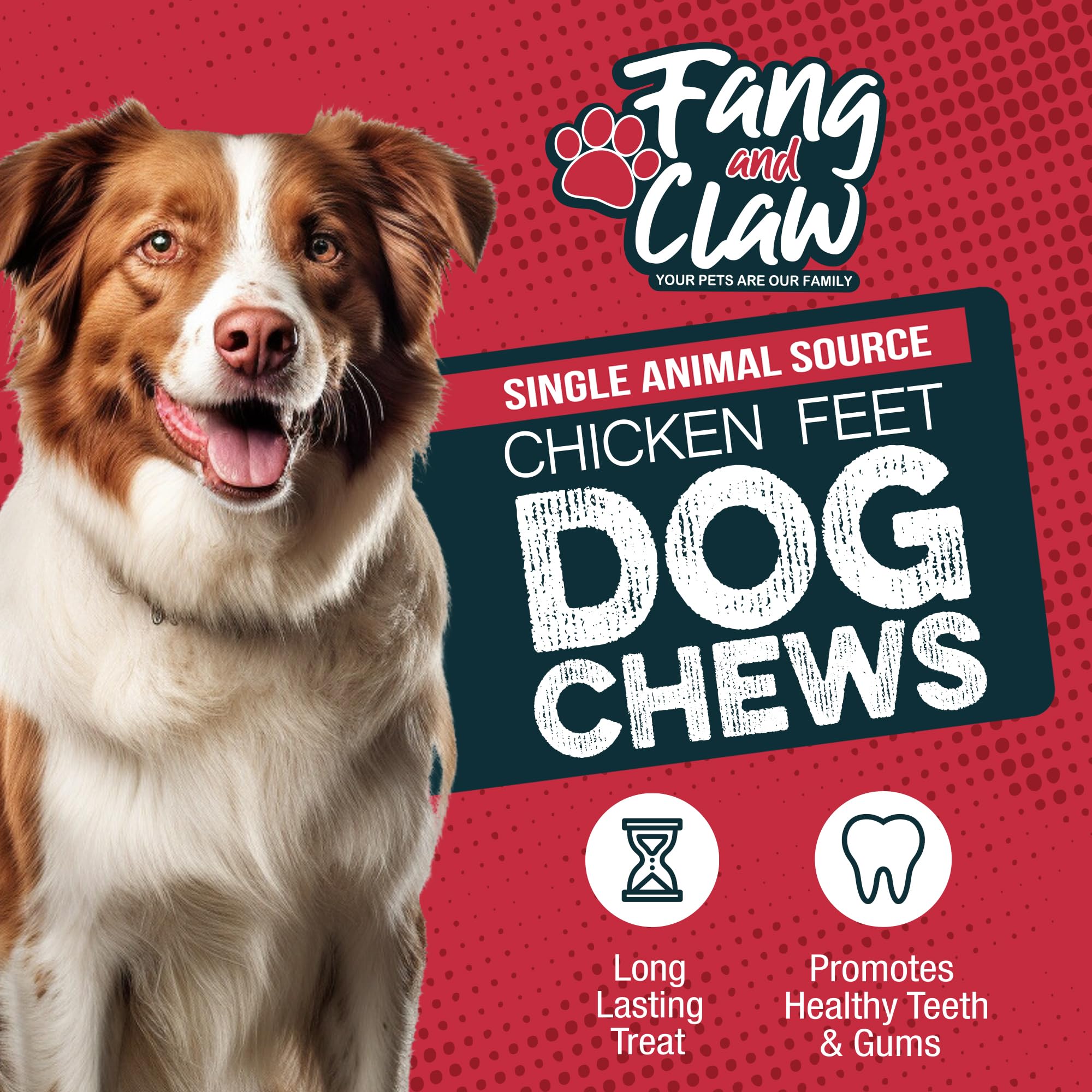 Fang and Claw 75-count bulk pack supports families with multiple dogs.