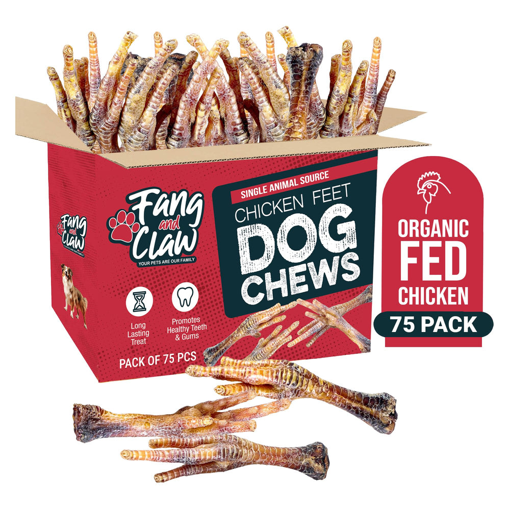 Fang and Claw dense crunch dog chew shown during playtime.
