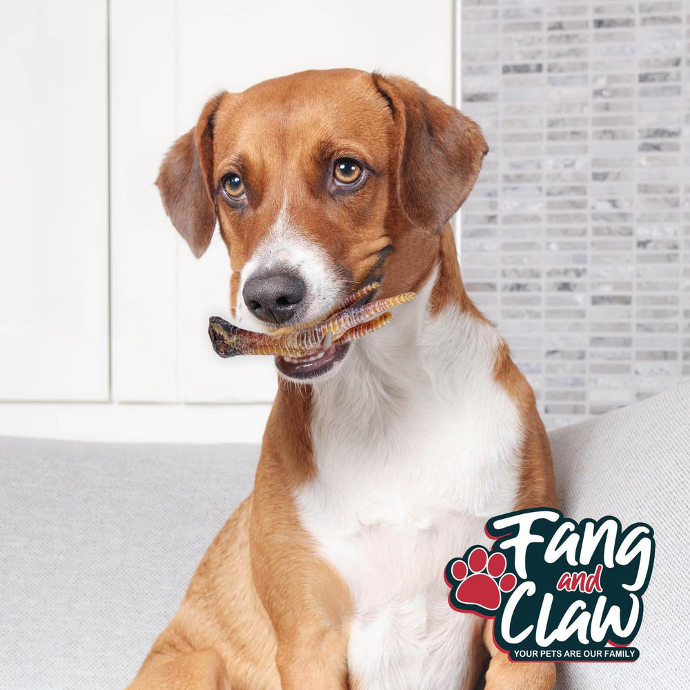 Fang and Claw high-protein, low-calorie dog treat for training rewards.