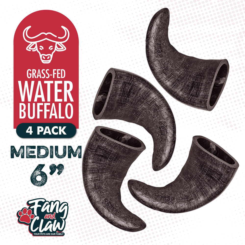 Fang and Claw buffalo horn chew designed for aggressive chewers.