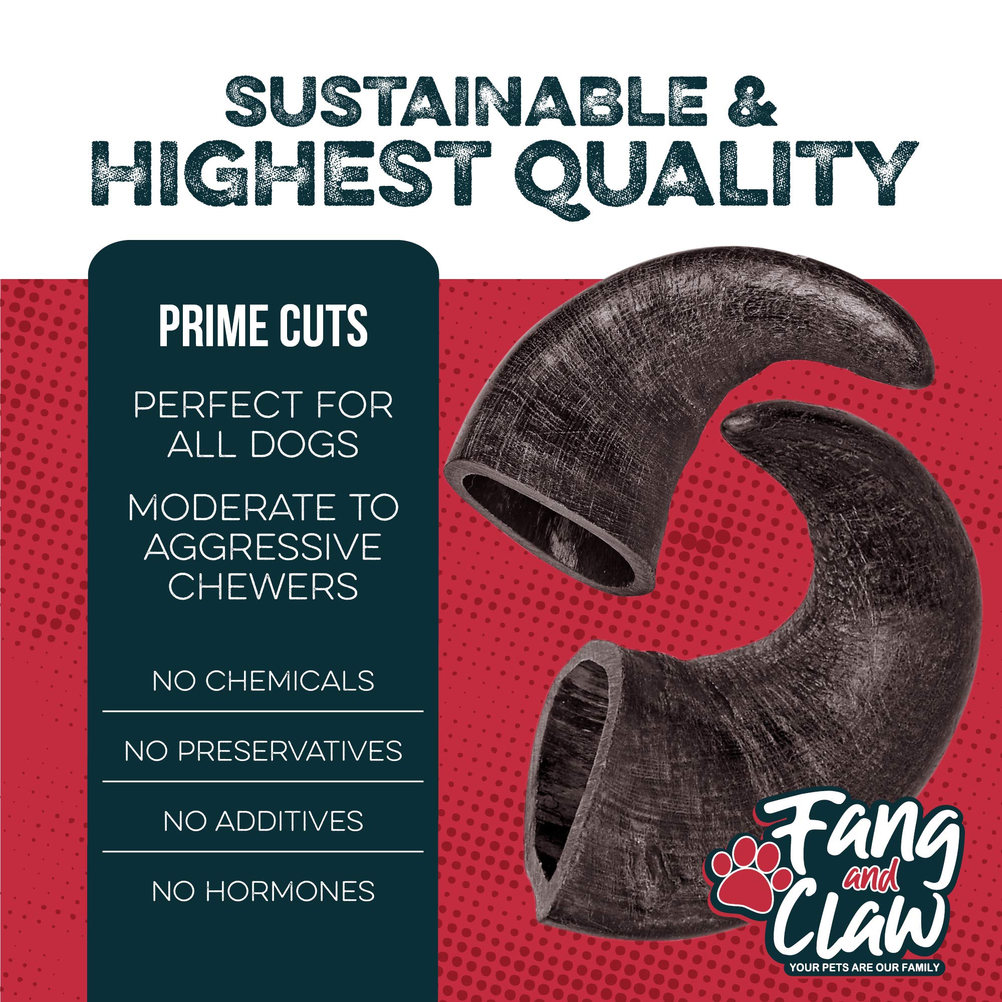 Fang and Claw buffalo horn dog chew close-up showing durable natural material for aggressive chewers.