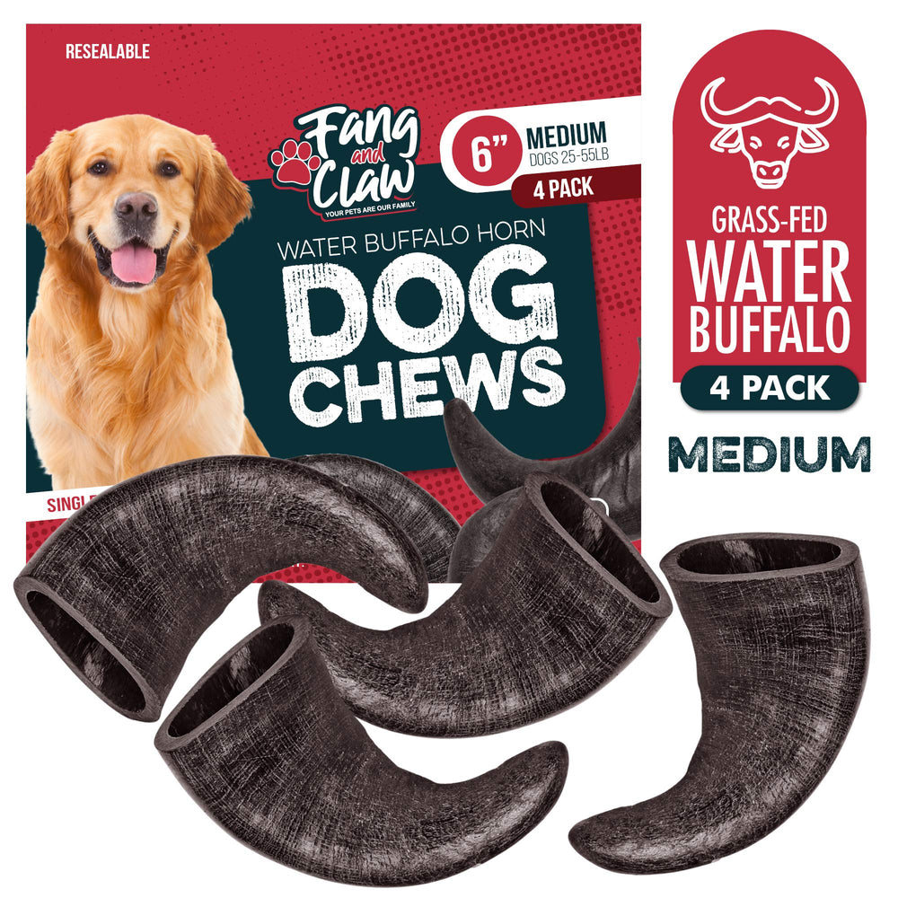 Dog enjoying Fang and Claw buffalo horn chew during playtime, a durable distraction.