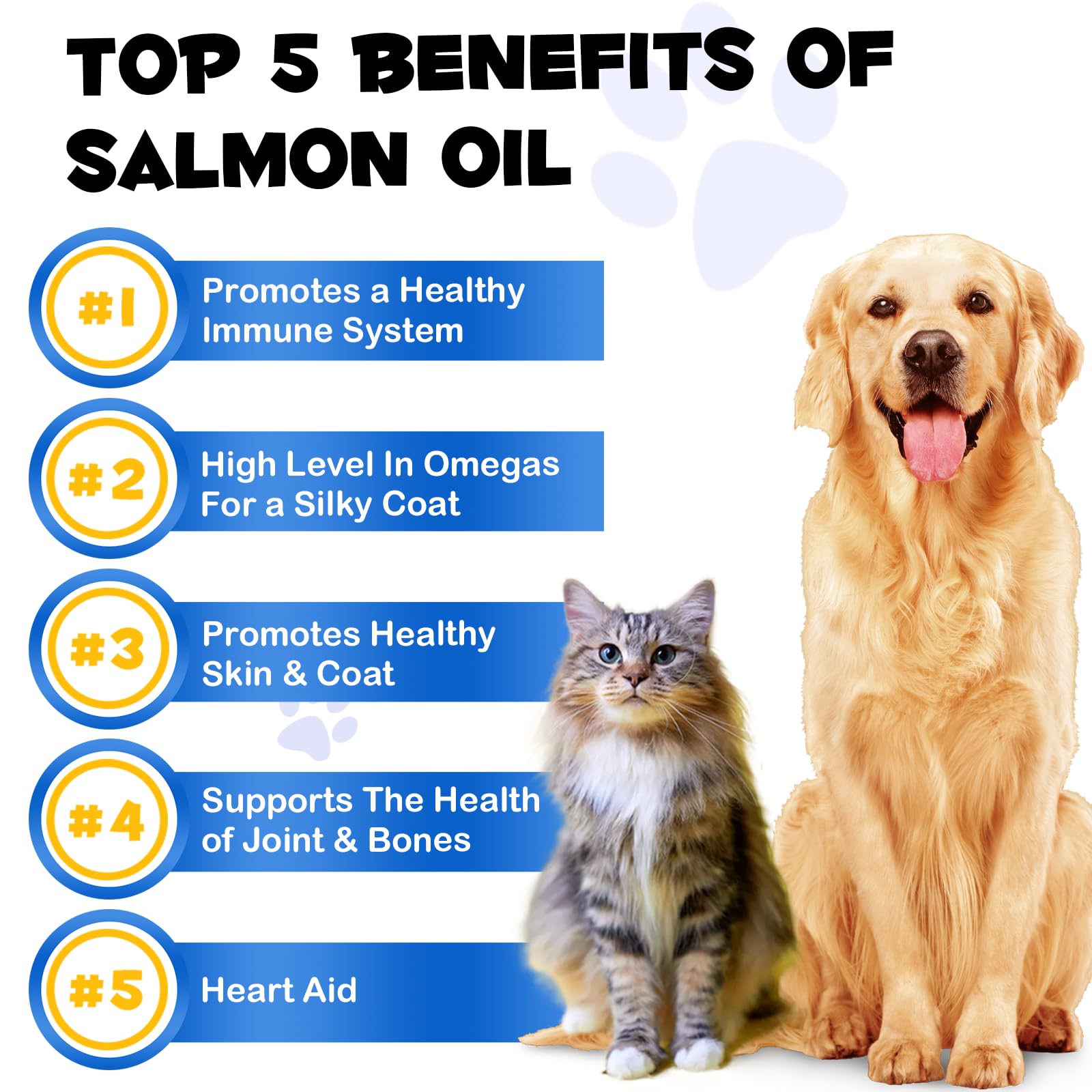 FANGCUN Alaskan Salmon Oil coat shine close-up highlights improved coat texture and luster.