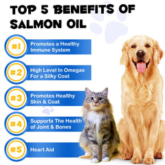 FANGCUN Alaskan Salmon Oil coat shine close-up highlights improved coat texture and luster.