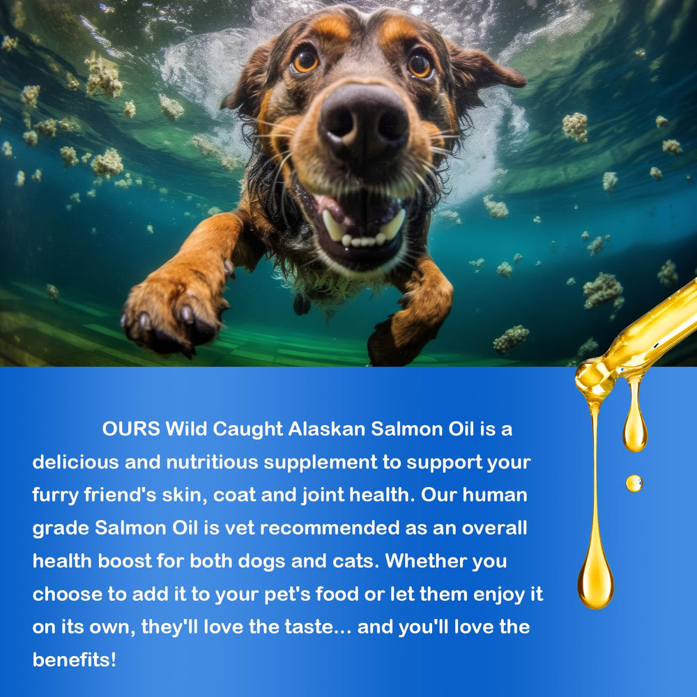 FANGCUN Alaskan Salmon Oil bottle with dog bowl emphasizes easy incorporation into daily routines.