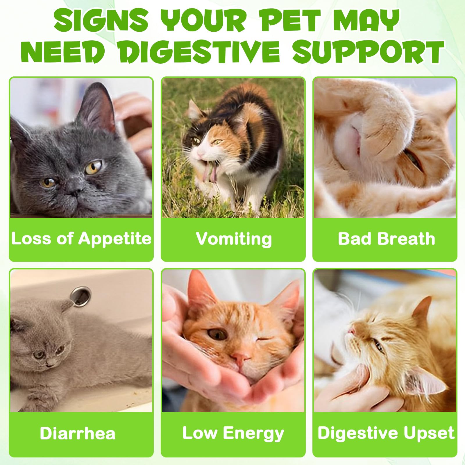 FANGCUN cat-probiotics-liquid-dosing shows easy daily addition to meals.