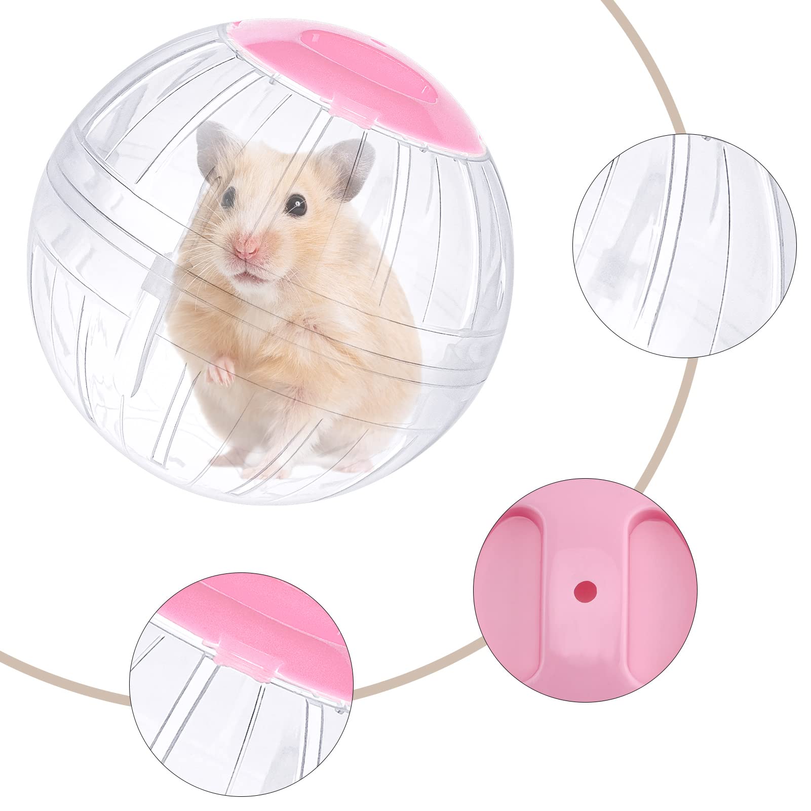 FANKUTOYS hamster ball safe play depicts supervised exploration and activity.