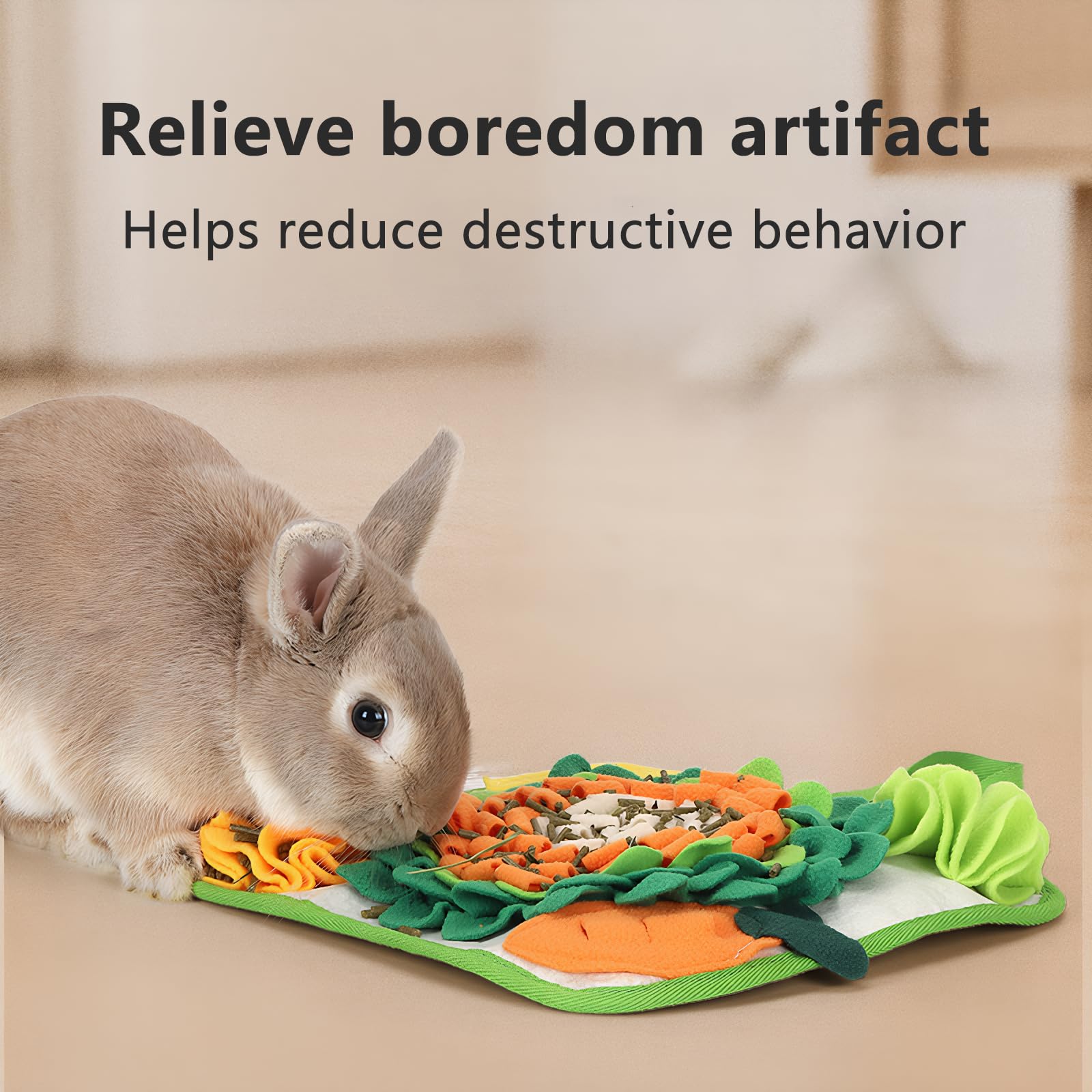 Fanlahmtasy-foraging-benefits-mental-stimulation demonstrates sniffing and curiosity in pets