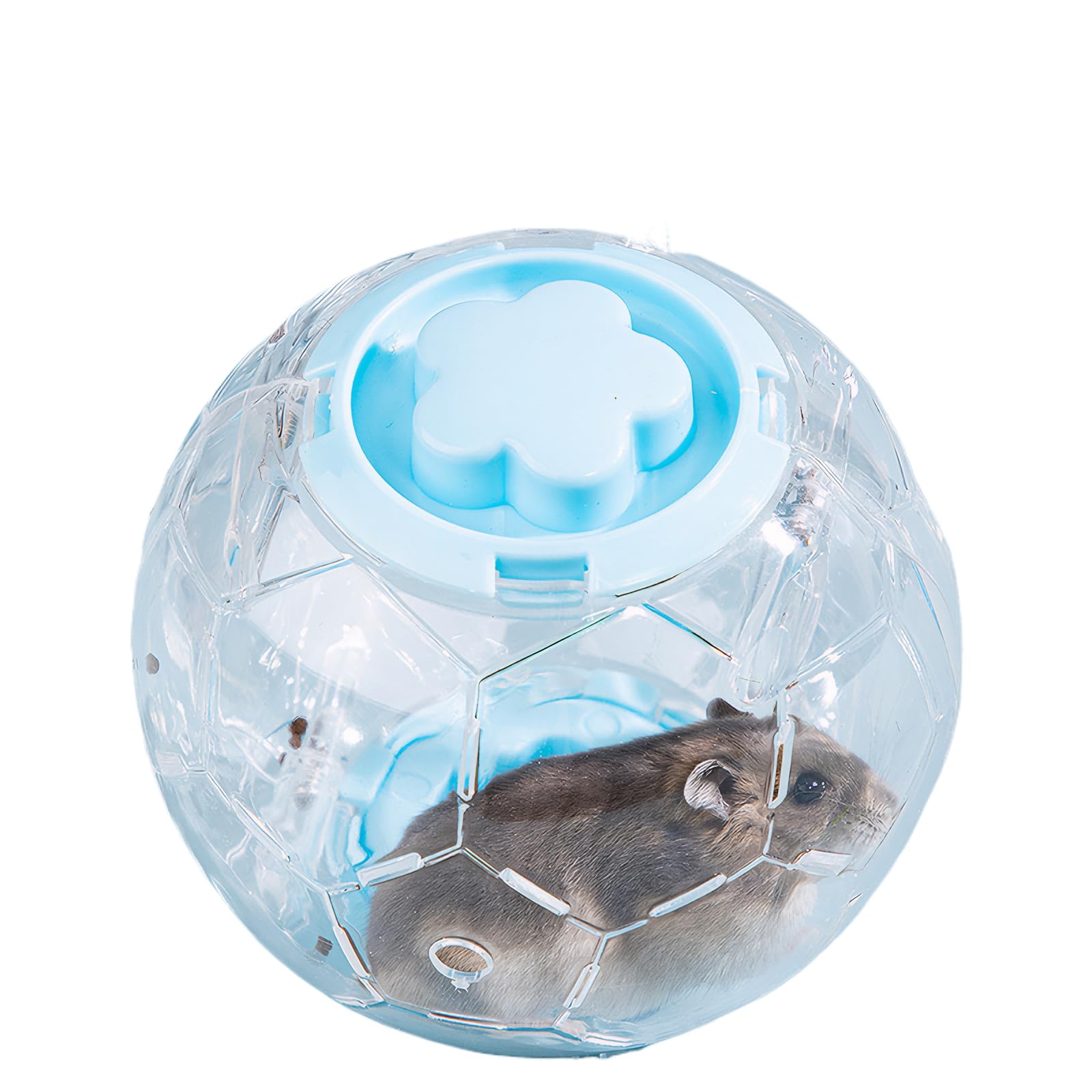 Fanlahmtasy hamster ball with football design encourages playful indoor exercise for small pets.
