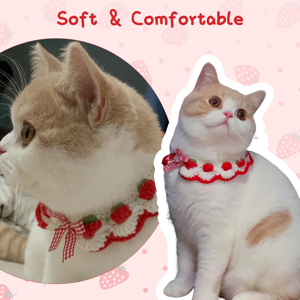 Fanmayhe adjustable-fit cat collar ensures a secure, tailored fit for small pets.