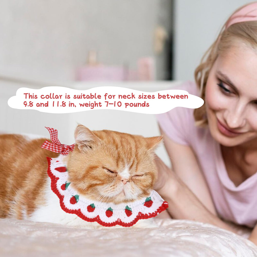 Fanmayhe daily-wear cat collar is durable for outdoor strolls and photoshoots.