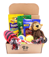 Fansco dog gift box set with toys and treats sparks joyful playtime and training moments